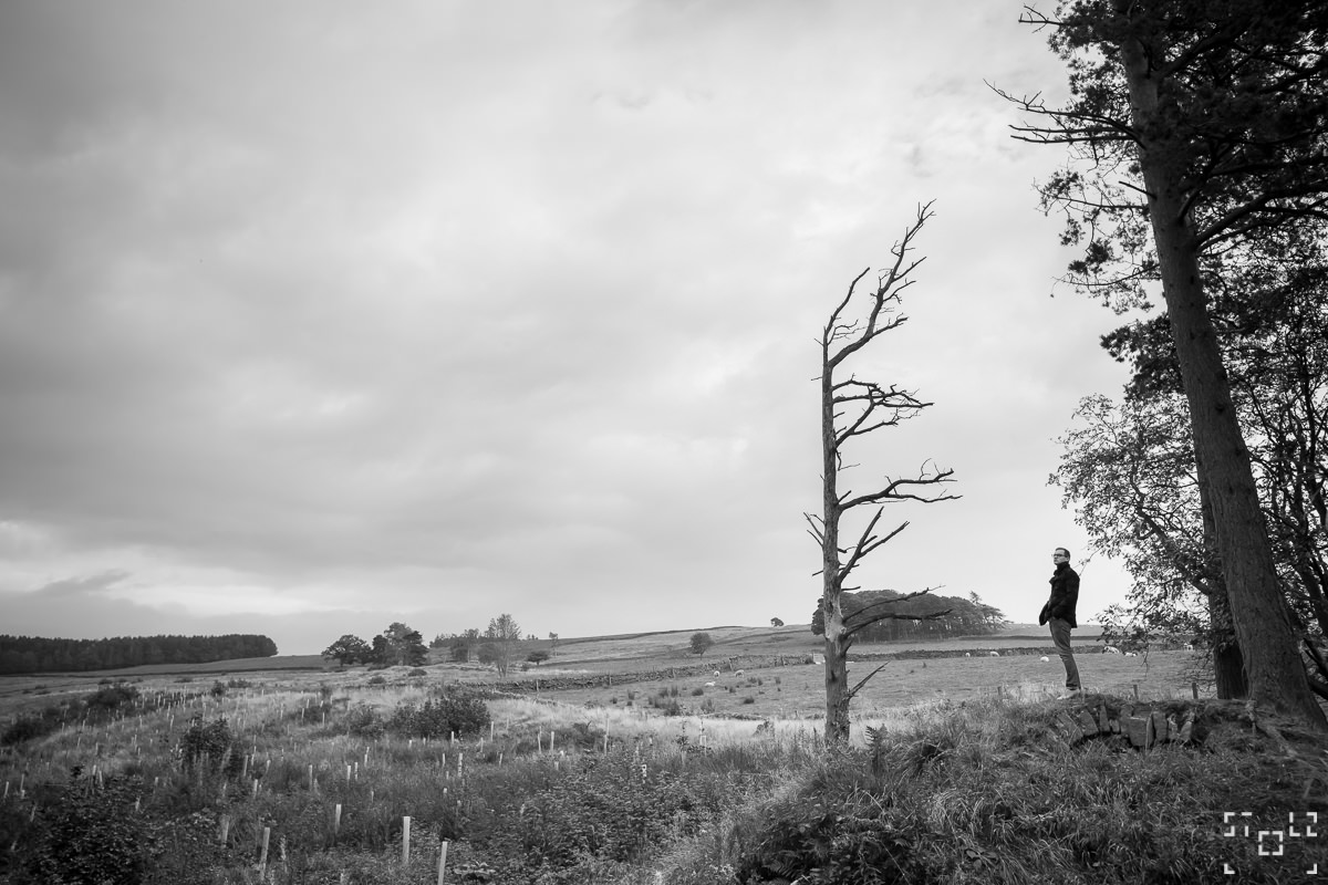 Willows at the Garden Station - fot. Tomasz Stolz
